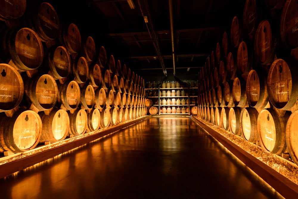 French Oak vs. American Oak : The Barrel Choice