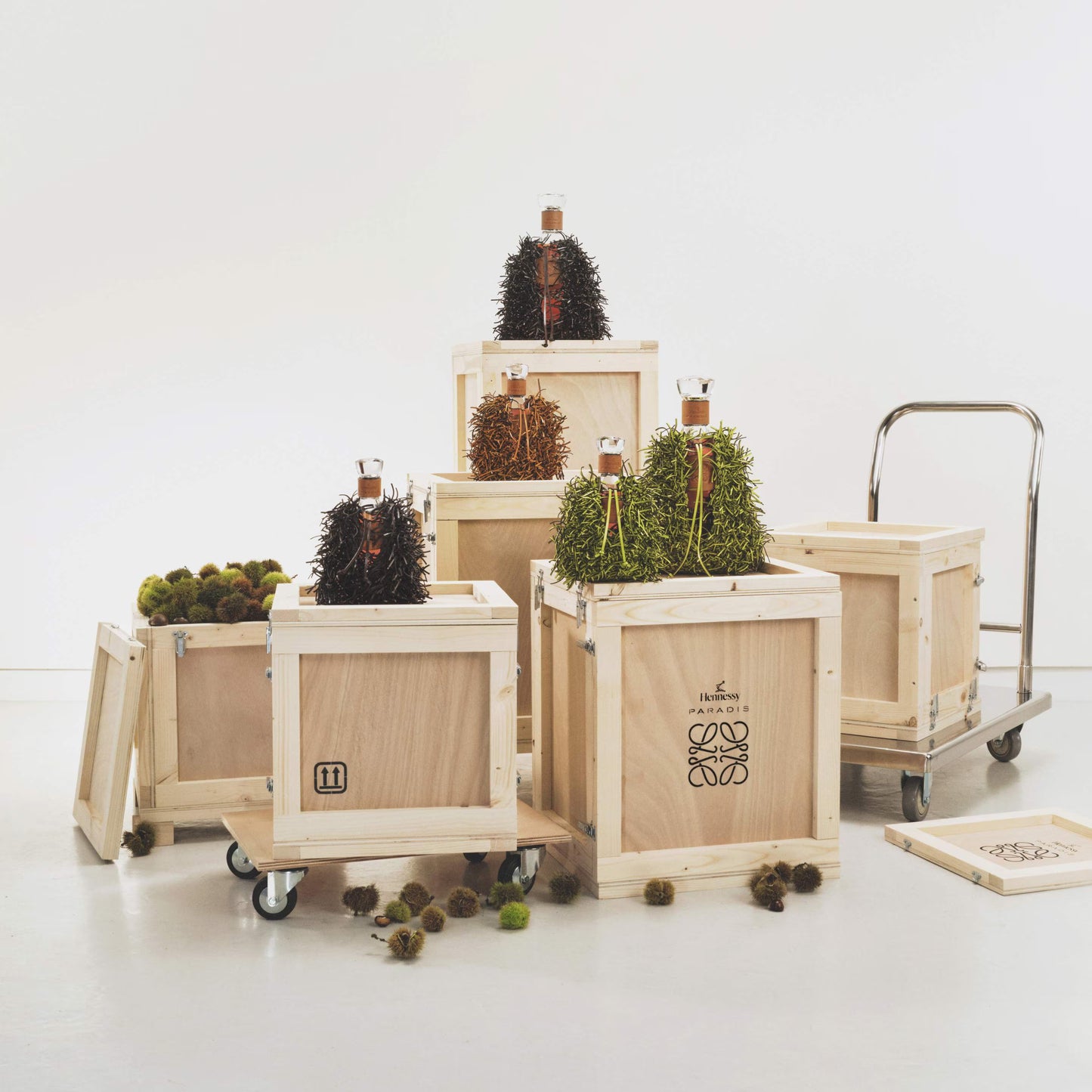 Hennessy Paradis x Loewe 300cl