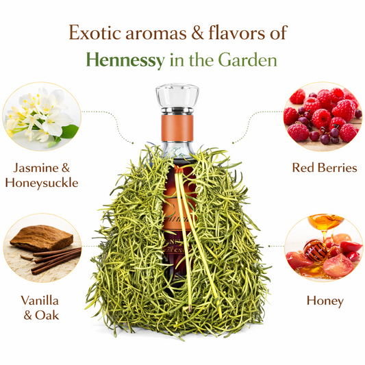 Hennessy Paradis x Loewe 300cl