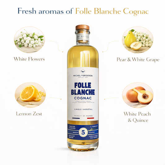 MICHEL FORGERON – FOLLE BLANCHE VSOP