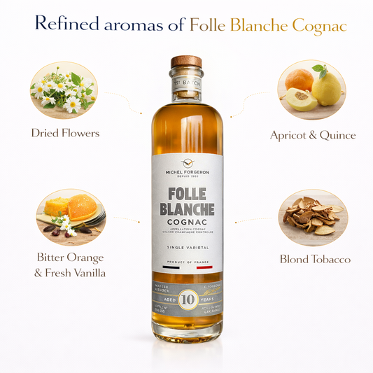 MICHEL FORGERON – FOLLE BLANCHE XO