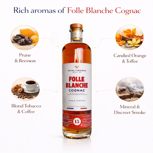 MICHEL FORGERON – FOLLE BLANCHE XXO