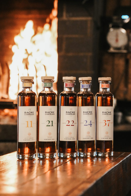Bache Gabrielsen | 37 ans d'âge Cognac (Vintage 1973) - Cognac Select